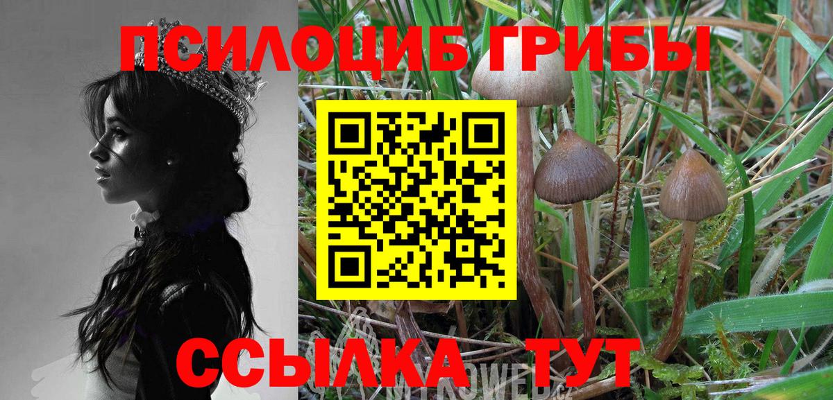 Апшеронск  Псилоцибиновые грибы MAGIC MUSHROOMS  Галлюциногенные грибы мухоморы  Вход с VPN 