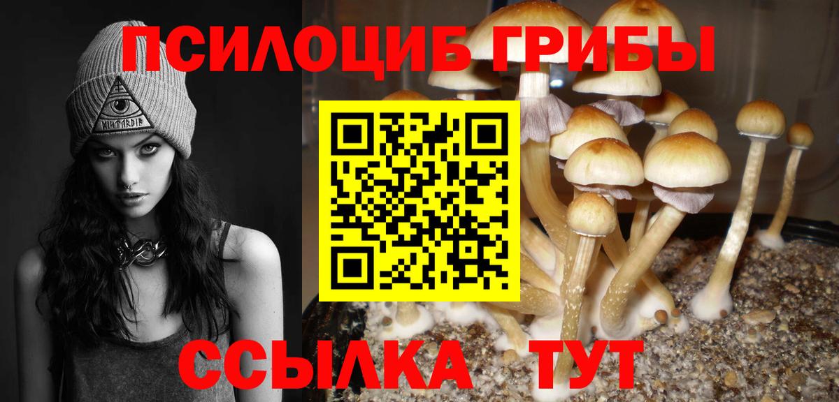 ГАШИШ Апшеронск